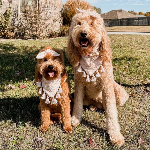 Only worn once light pink sweater fabric dog bandana with matching bow - Picture 2 of 3